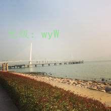 ɹ